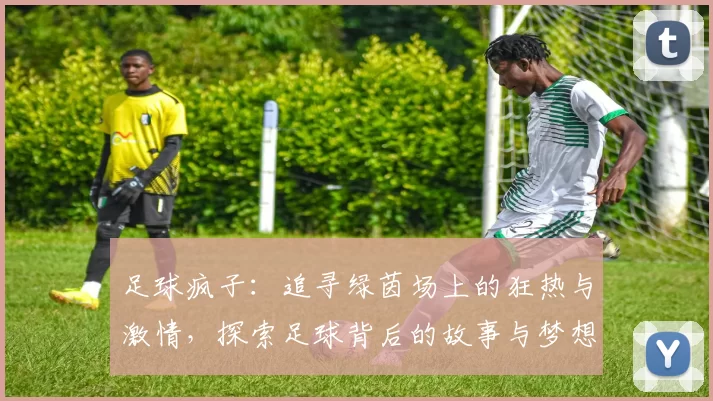 足球疯子：追寻绿茵场上的狂热与激情，探索足球背后的故事与梦想