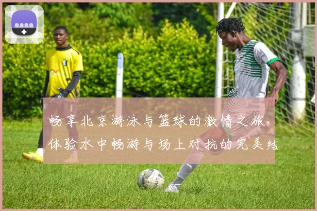 畅享北京游泳与篮球的激情之旅，体验水中畅游与场上对抗的完美结合